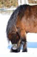 /album/timo/a2012-02-04-221-timo-jpg/